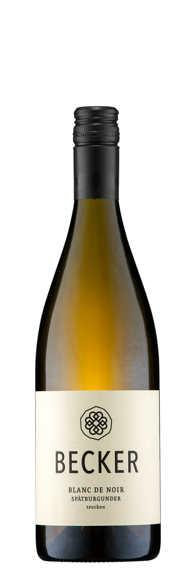 2024 Spätburgunder blanc de noir