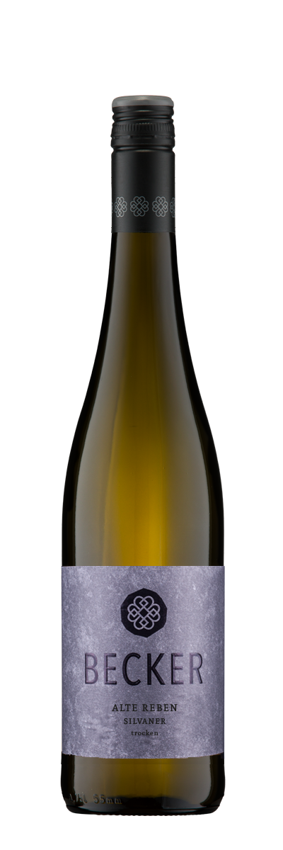 2024 Silvaner Alte Reben